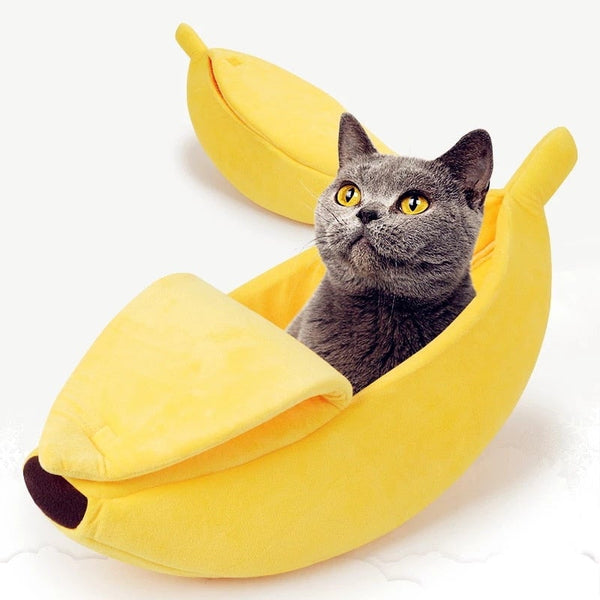 Funny Banana DogCat